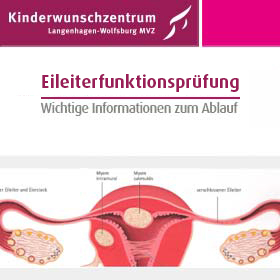 Flyer Eileiterfunktionsprüfung